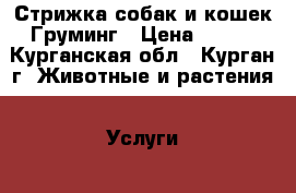 Стрижка собак и кошек.Груминг › Цена ­ 500 - Курганская обл., Курган г. Животные и растения » Услуги   . Курганская обл.,Курган г.